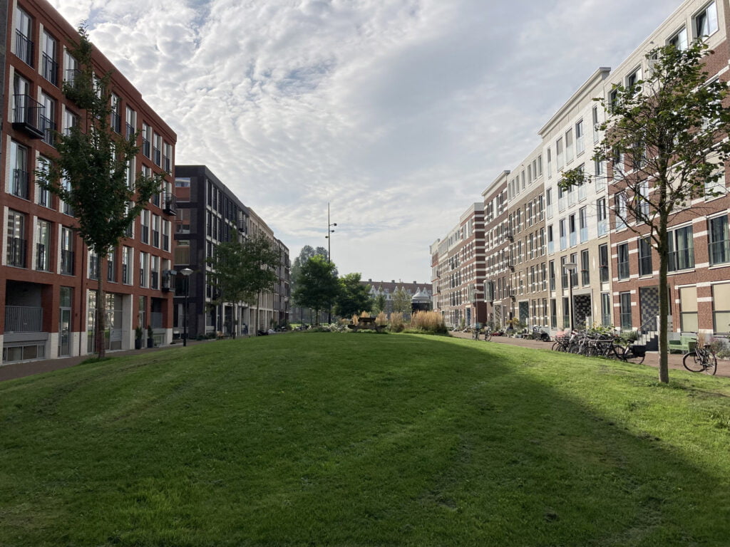 Groenstrook parkeiland.